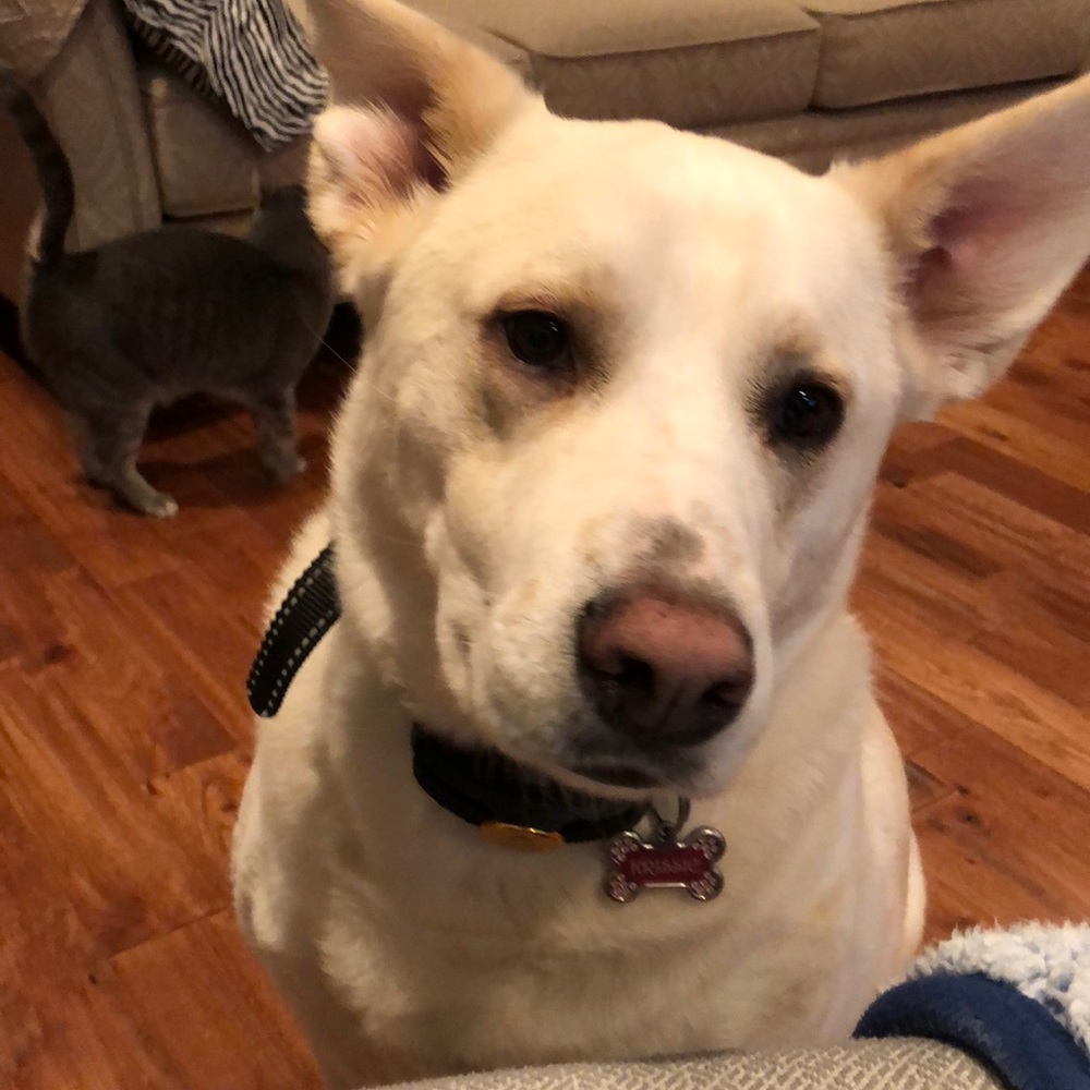 Meet your Posher, Paula